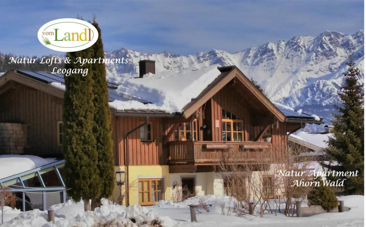 103 M2 Apartment Eschenwald Vomlandl Leogang Exteriör bild